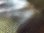 画像11: Italsofa イタリアレザー総本革皮張り３人掛けソファー 大きさ 幅200×奥行90×高さ77cm　S-017