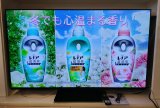 画像: 42美品 2023年製 55V型 4K有機ELテレビ ネット動画・Bluetooth対応/倍速対応 パナソニック ハイグレードモデル ビエラ TH-55MZ1800 T-038